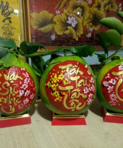 Bưởi thư pháp-vạn sự như ý- tấn tài tấn lộc