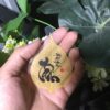 lá bồ đề ốp lưng